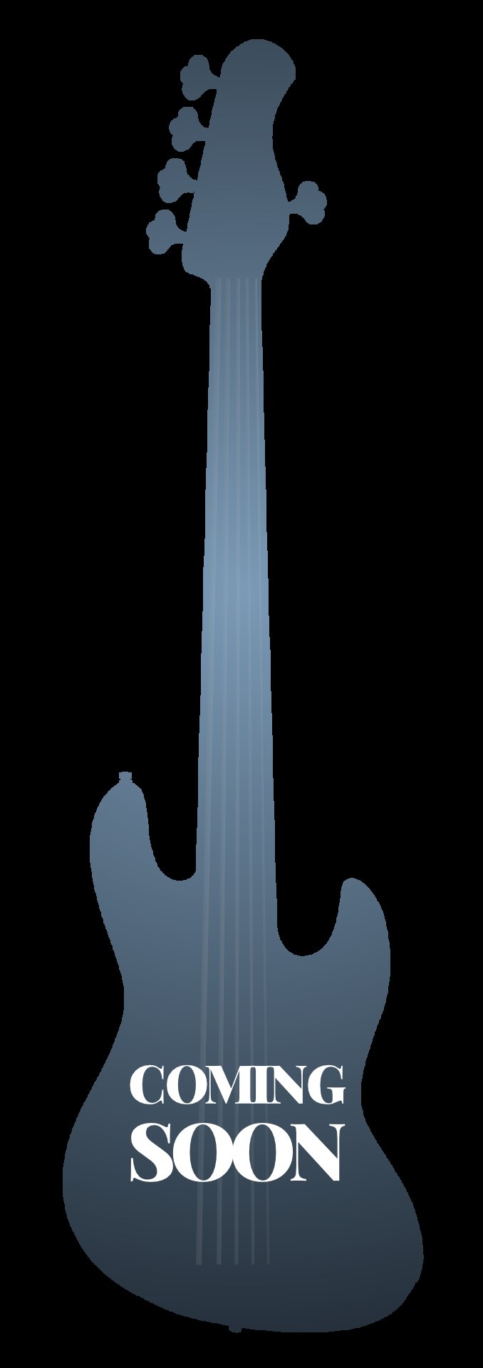 Sadowsky MetroLine 24-Fret Single Cut Bass, Red Alder Body, Tigerstripe Ebony Fingerboard, 5-String, Fretless - Solid Black High Polish